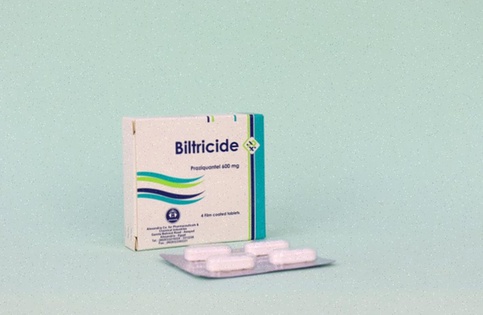 Biltricide generico