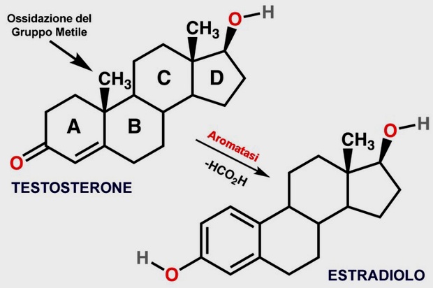 estradiolo generico