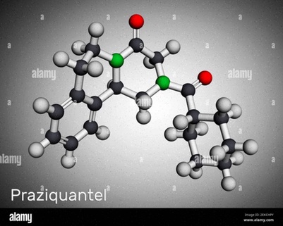 praziquantel
