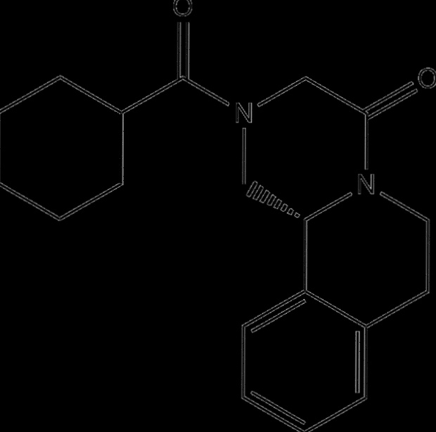 praziquantel